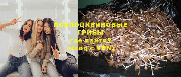сатива Алексеевка